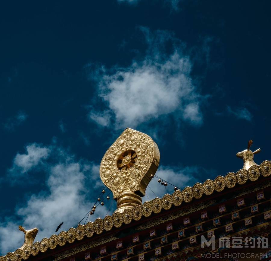 复古模特