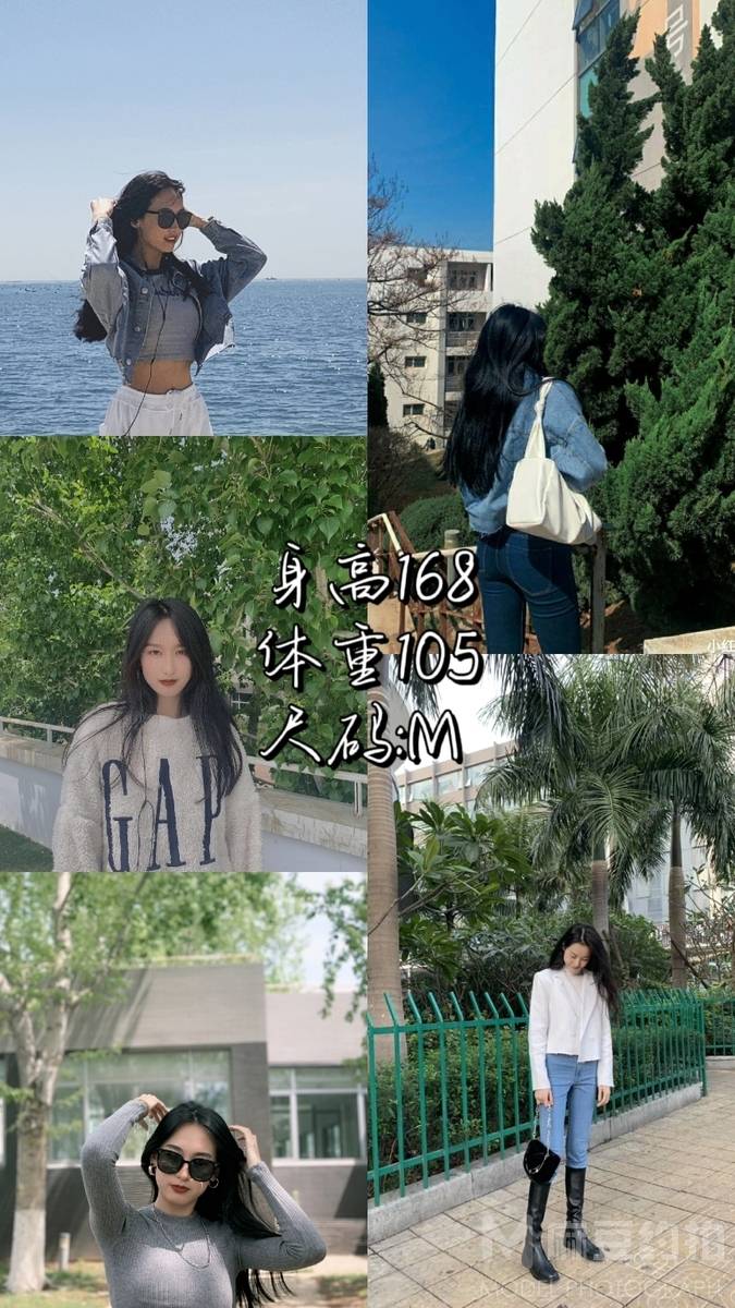 清新模特
