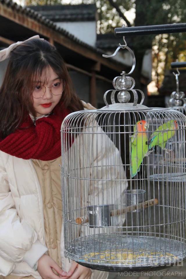 校园模特