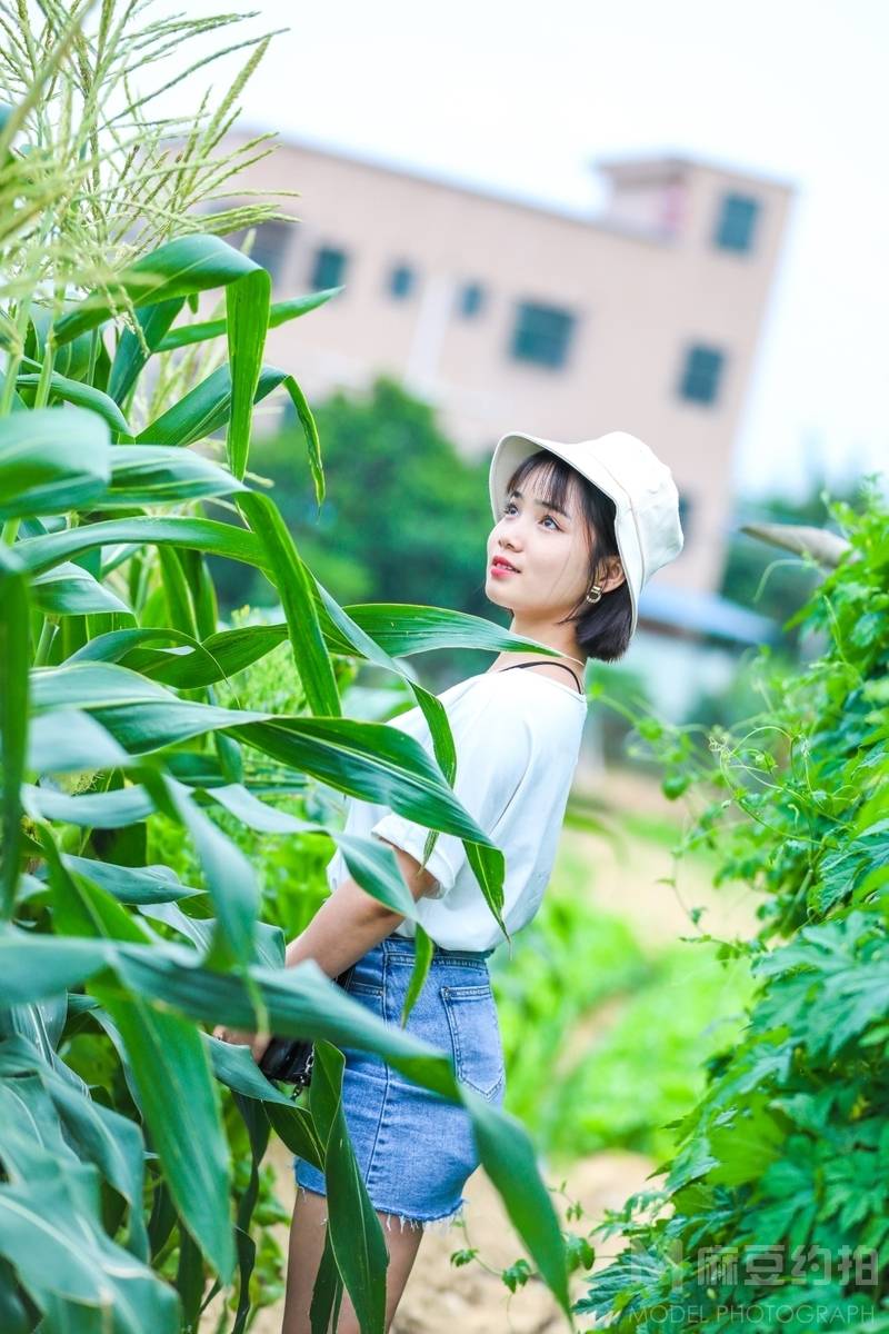 清新模特