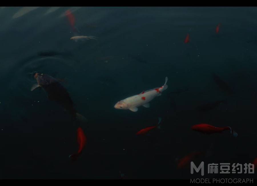 纪实模特