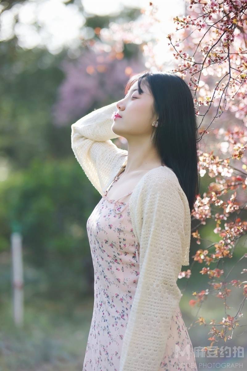 清新模特
