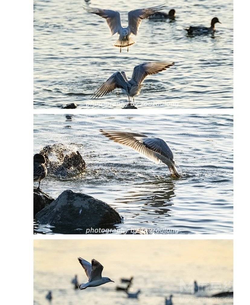 复古模特
