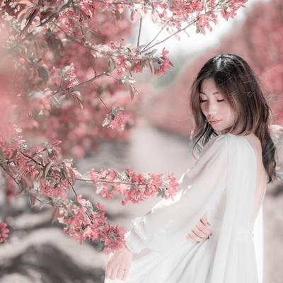 韩系模特