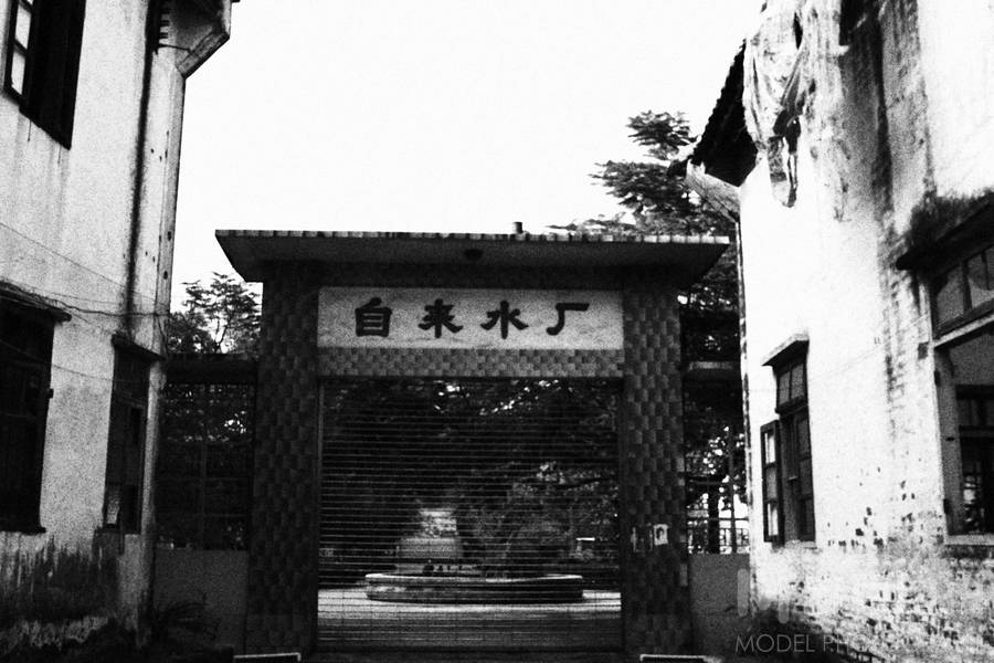 黑白模特