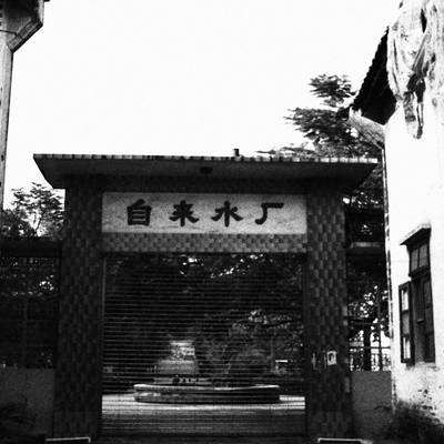 黑白模特