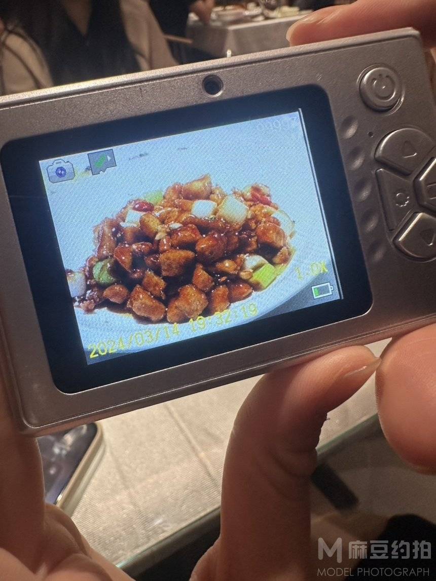 胶片模特