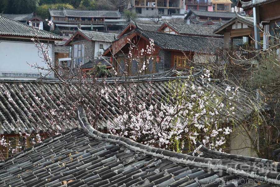 纪实模特