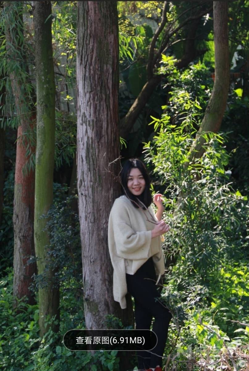 情绪模特