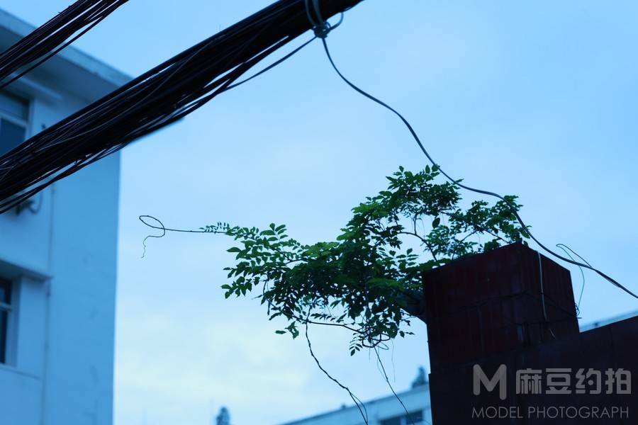 纪实模特