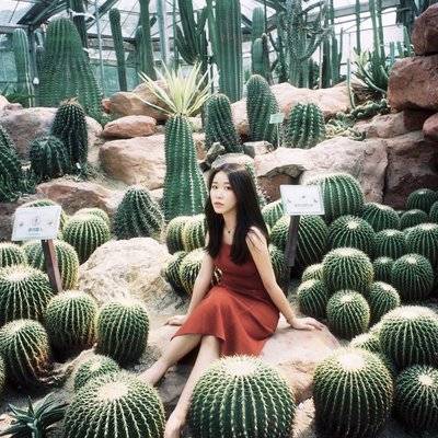 胶片模特
