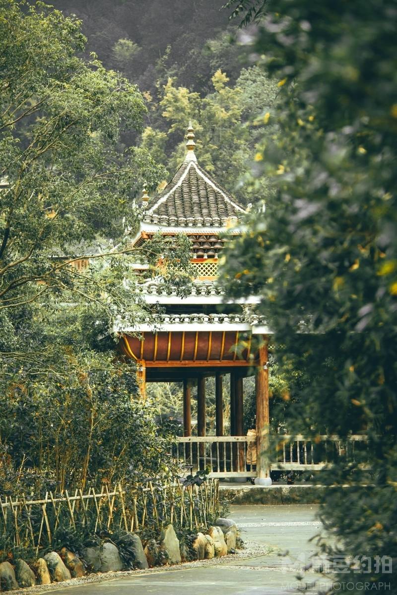 纪实模特