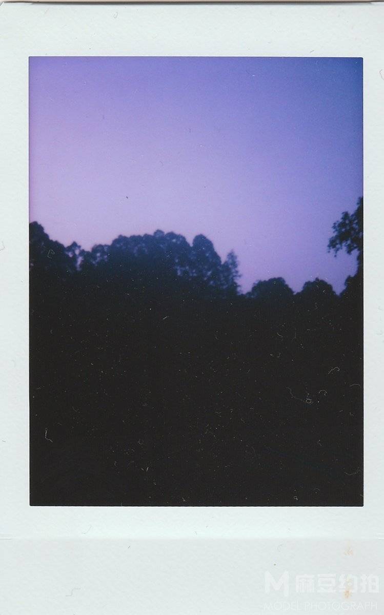 宝丽来模特
