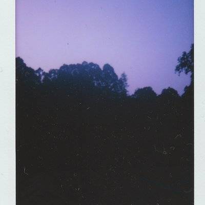 宝丽来模特