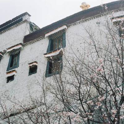 胶片模特