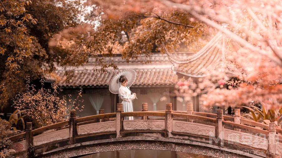 复古模特