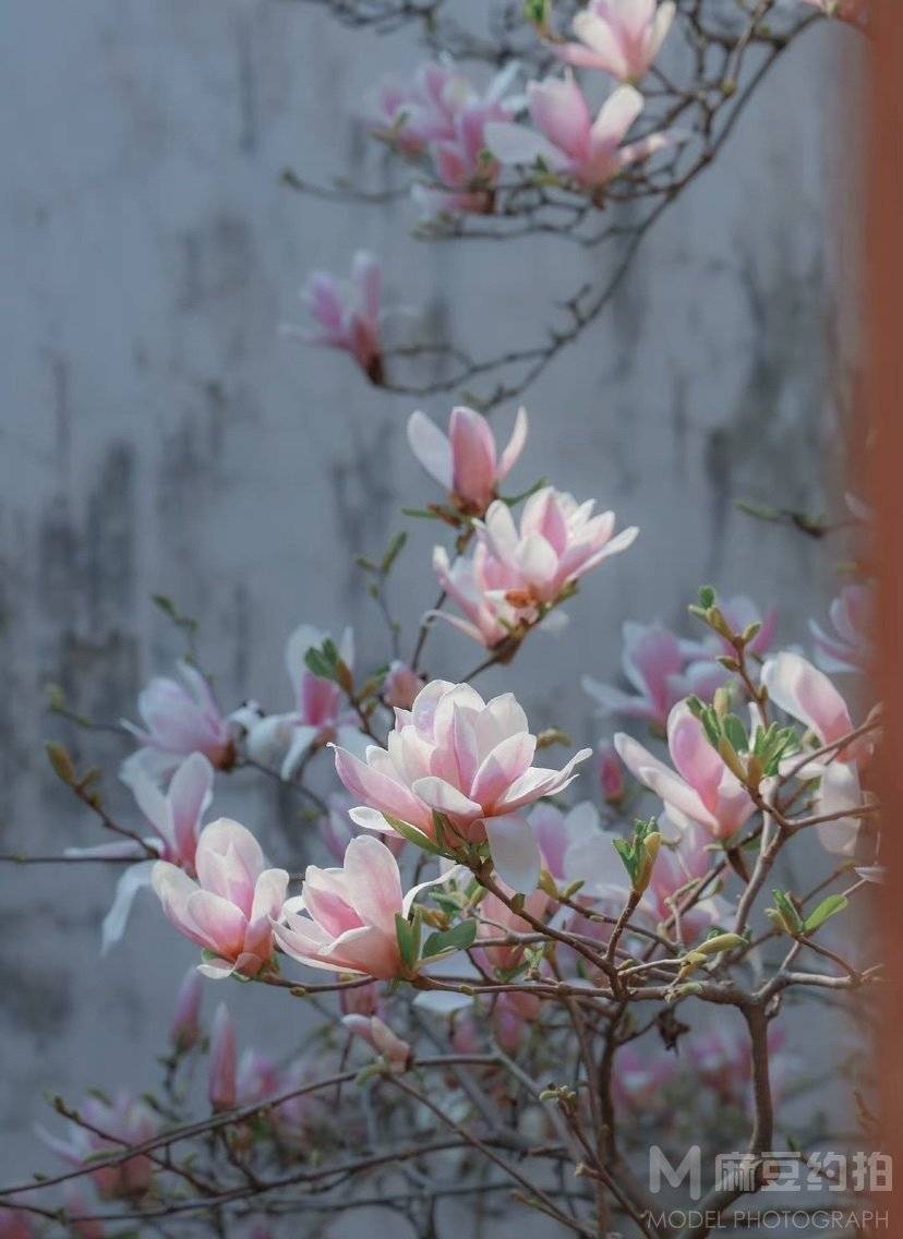 复古模特