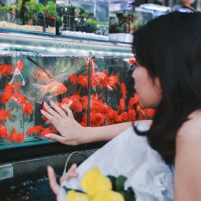 清新模特