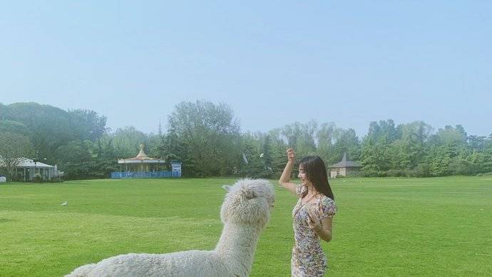 紫玉山庄—孔雀花园餐厅