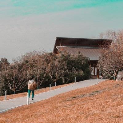 孕照模特