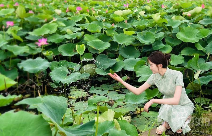 旗袍模特