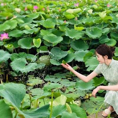 旗袍模特