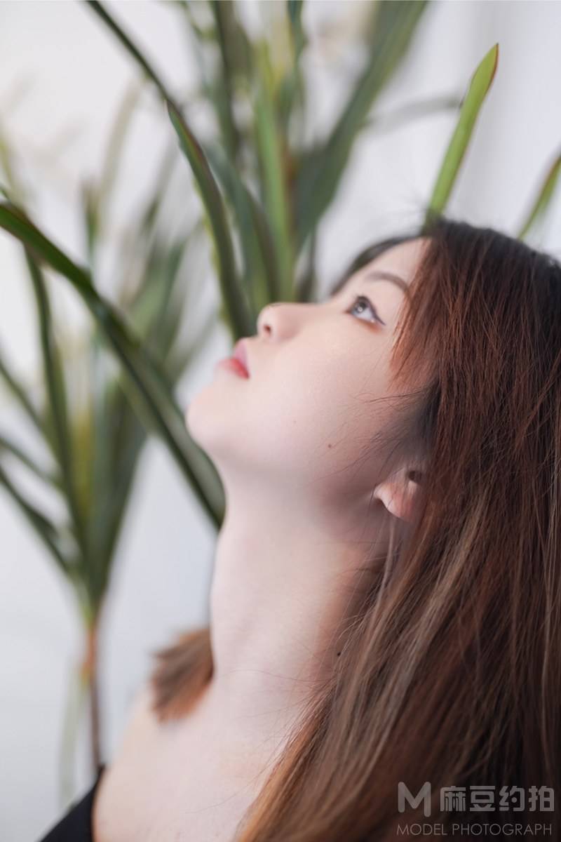 胶片模特
