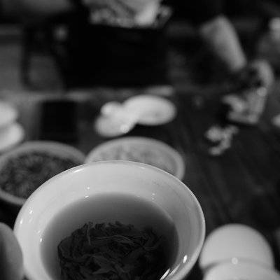 黑白模特
