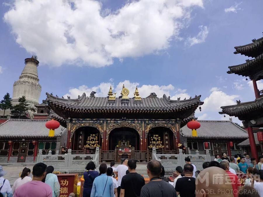 纪实模特