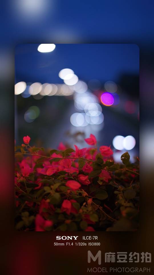 夜景模特