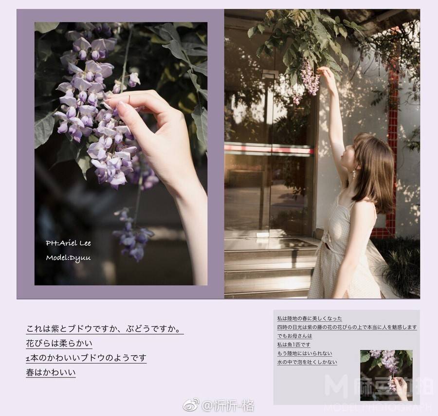 校园模特