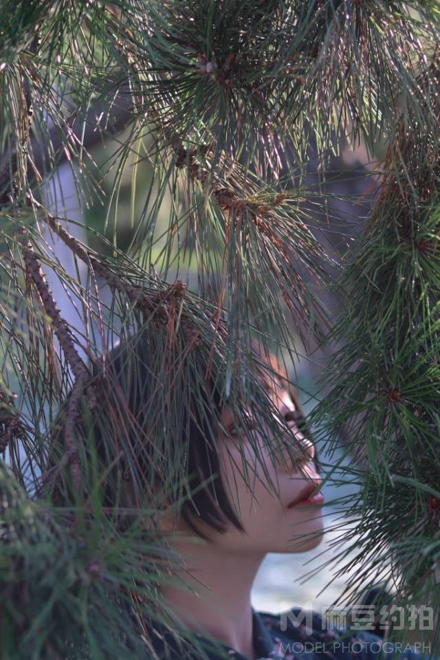 校园模特