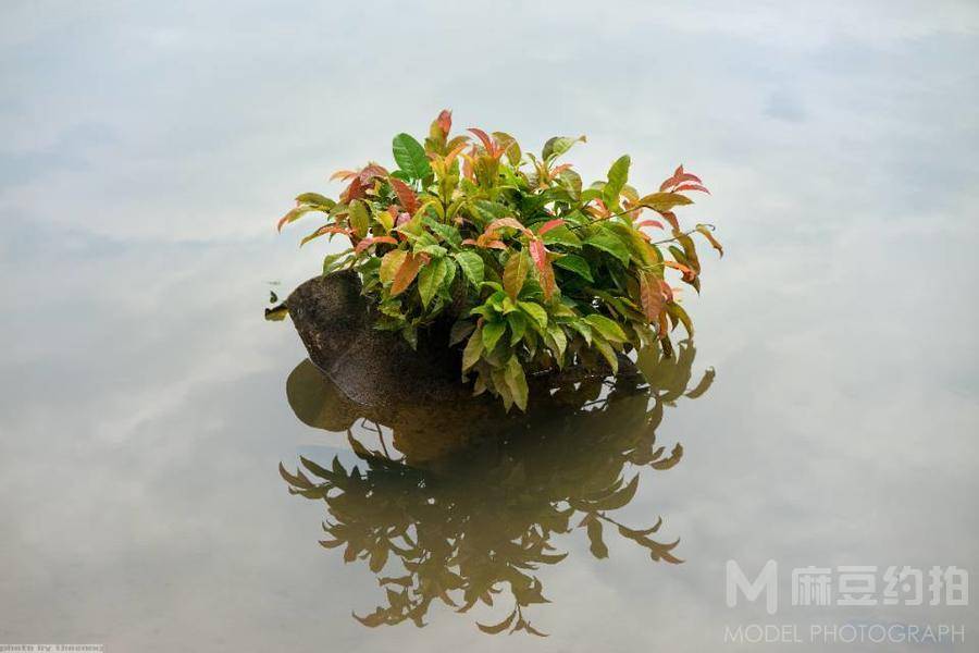 纪实模特