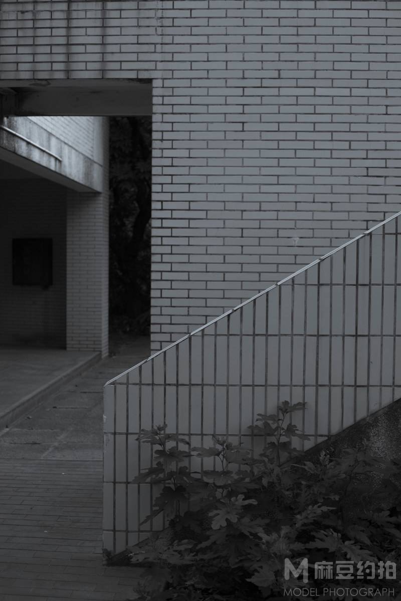 纪实模特