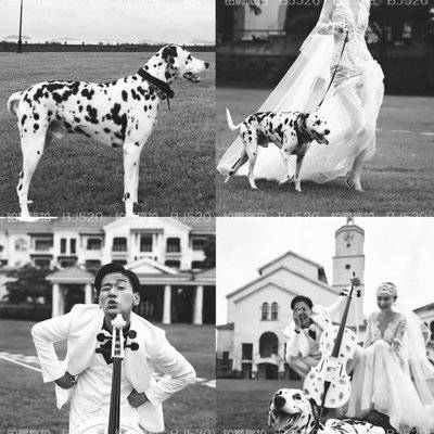 婚礼模特