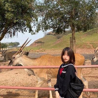 日系模特