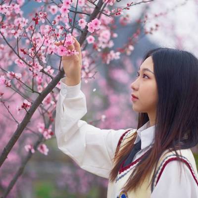 校园模特