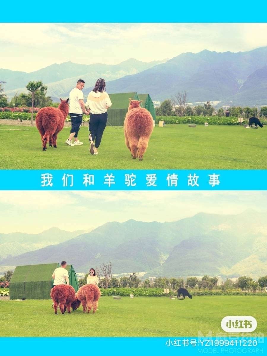 情侣模特