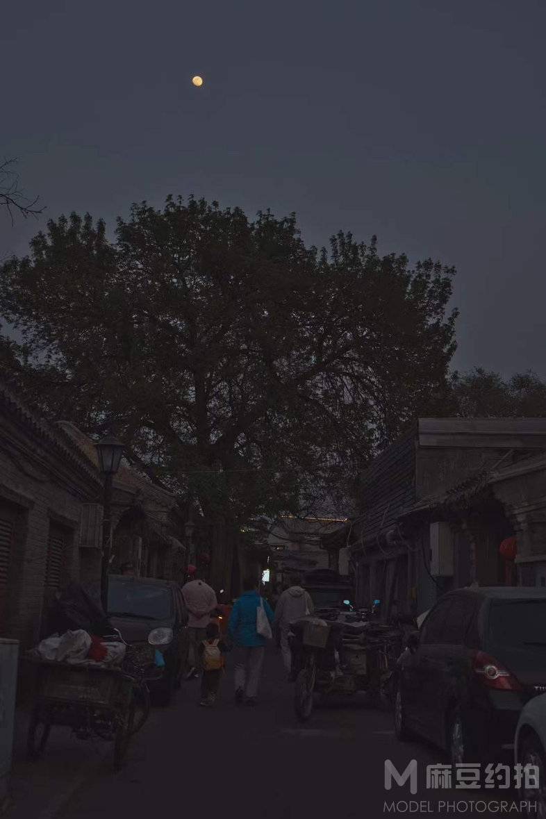 复古模特