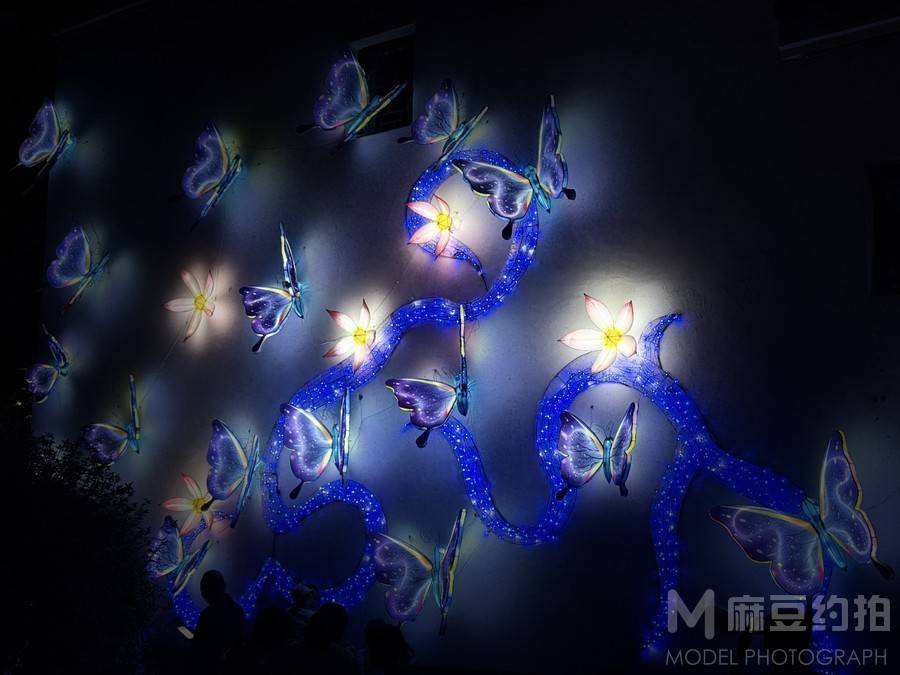 孕照模特