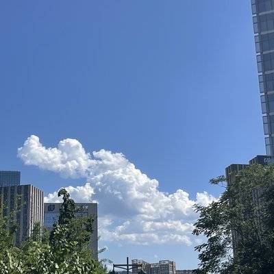 宝丽来模特
