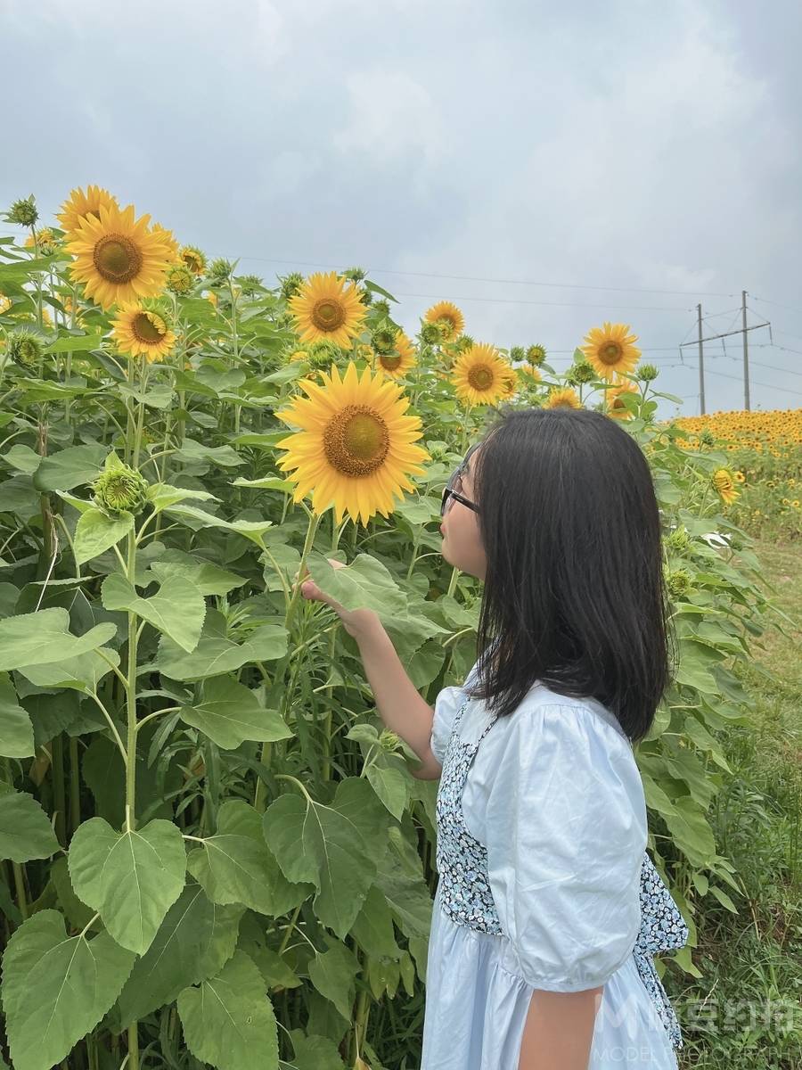 校园模特
