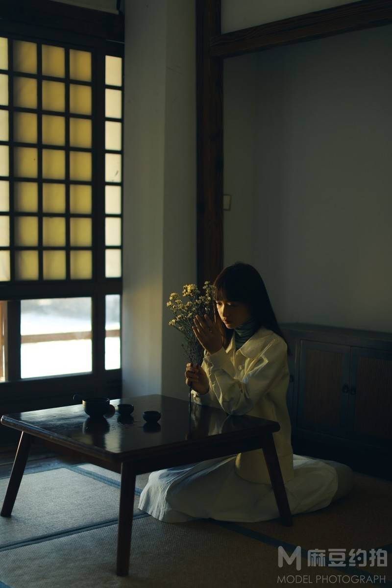 胶片模特