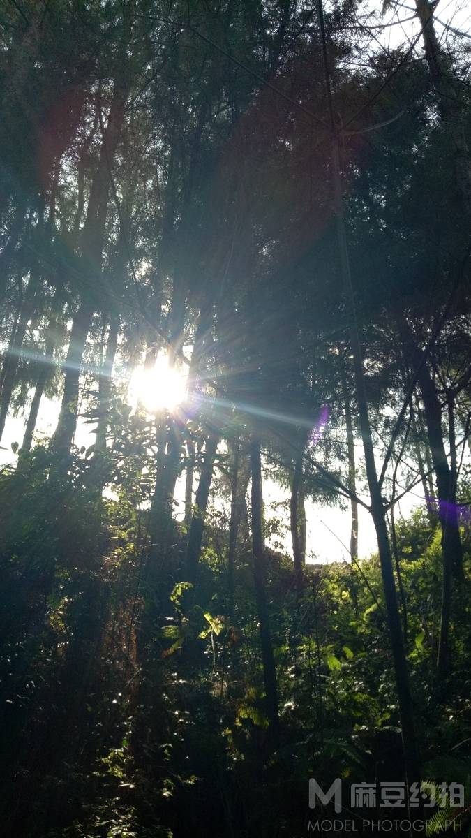 森系模特