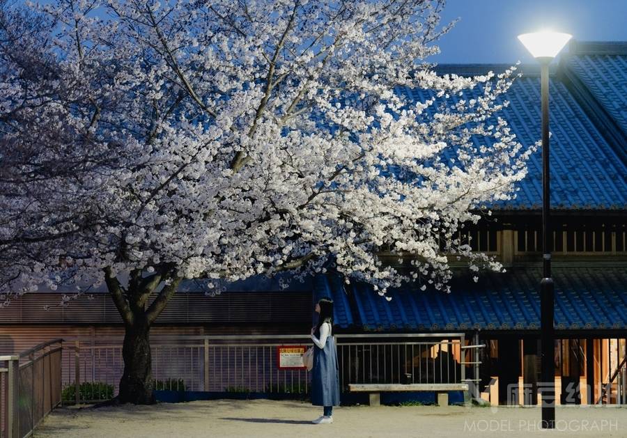 日系模特