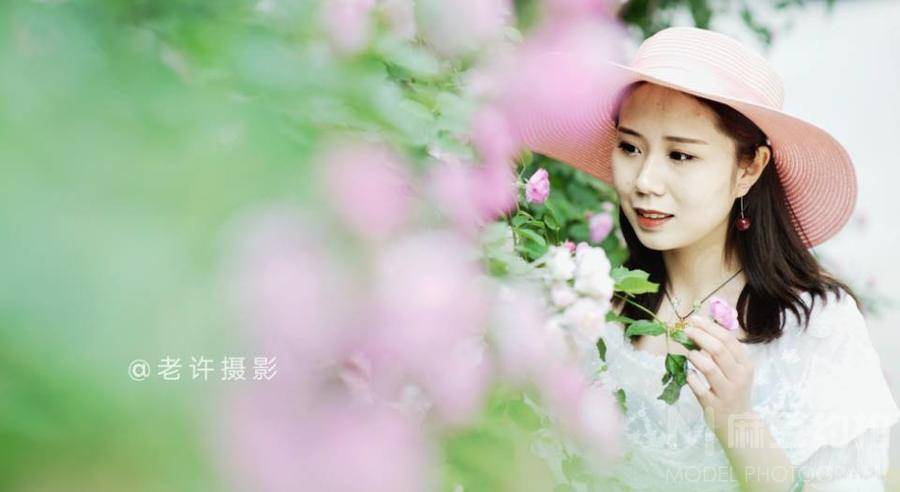 清新模特
