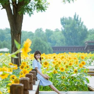 韩系模特