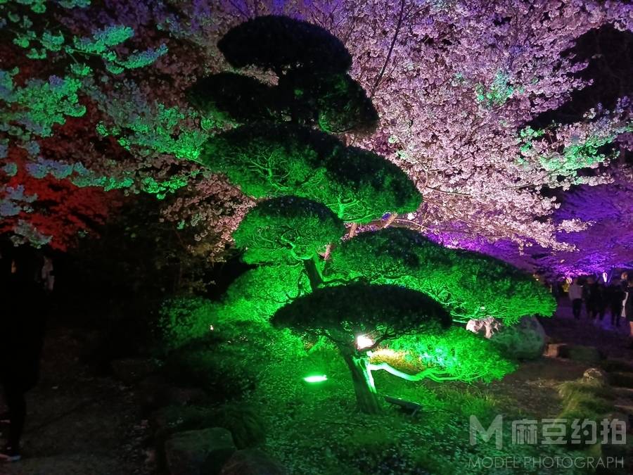 纪实模特