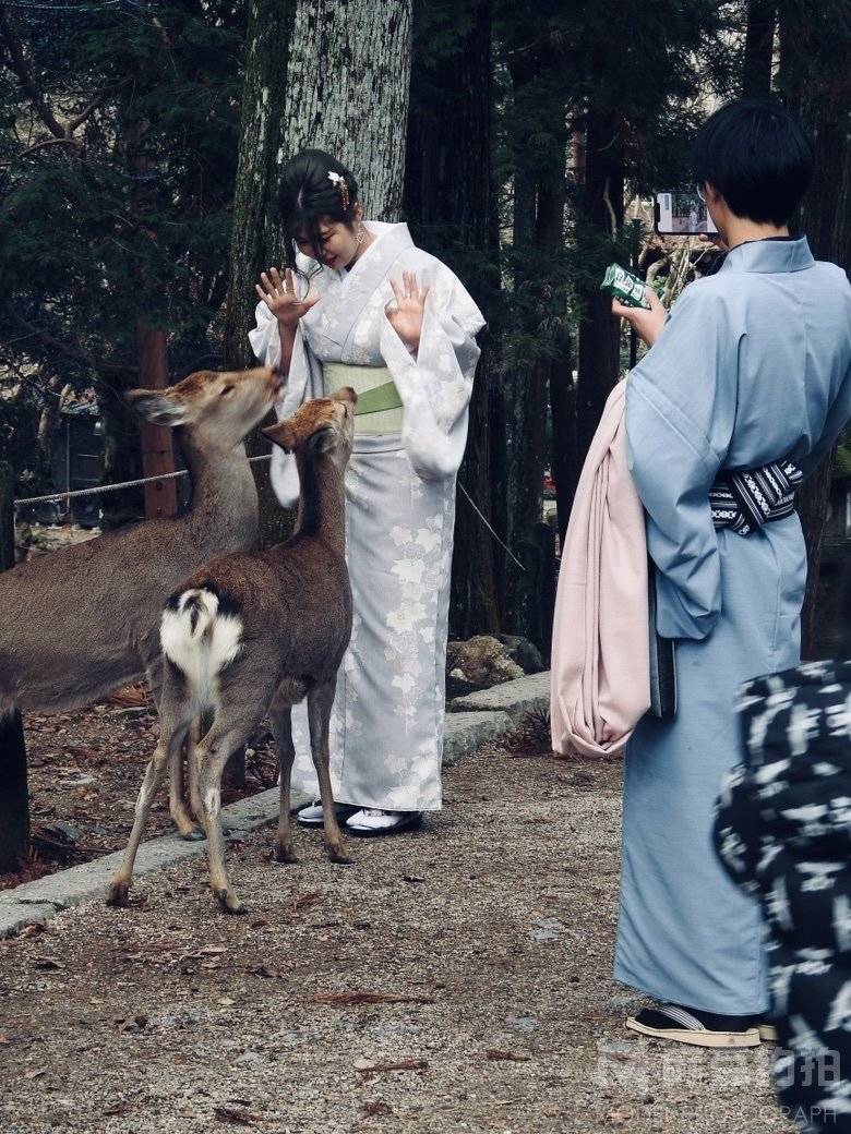 复古模特