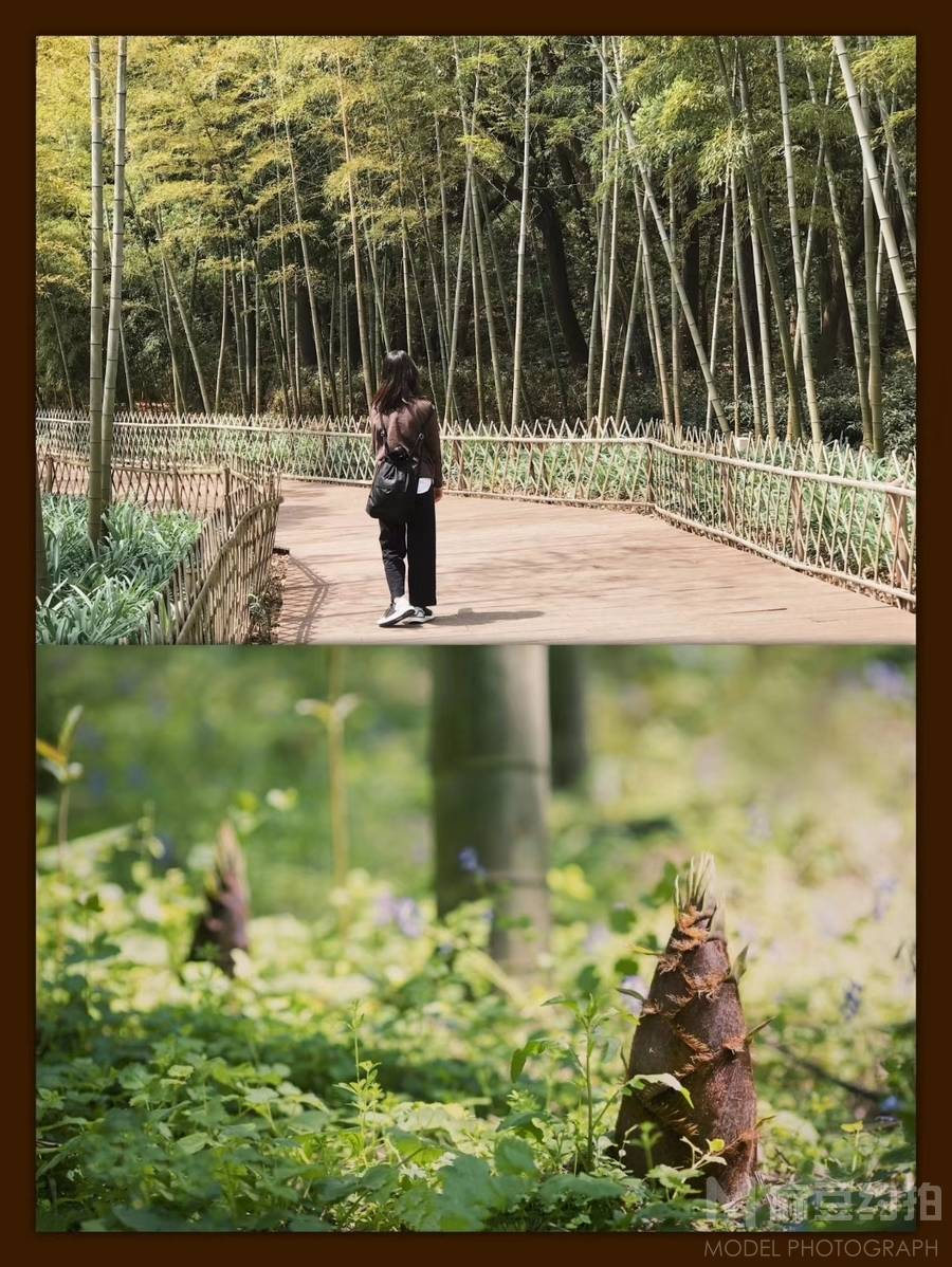 森系模特